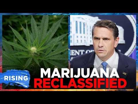 BREAKING: Marijuana RECLASSIFIED from schedule I to schedule III | RISING