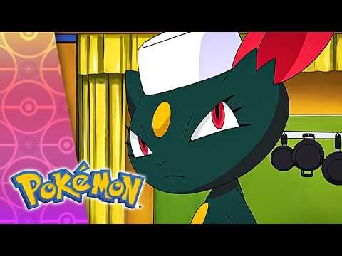 Hail To The Chef! | POKÉMON FULL EPISODE 48 | Season 8