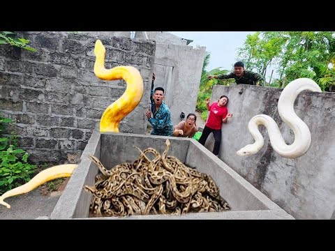 Brave soldiers used high-tech snake detectors to locate the giant python's nest.