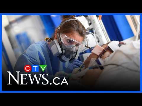 COVID-19 remained largest driver of hospitalizations in 2024, study finds