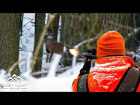 Late Season Deer Hunting on Public Land | Cold Weather Muzzleloader Hunt