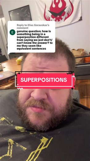 Understanding Superpositions in Quantum Mechanics