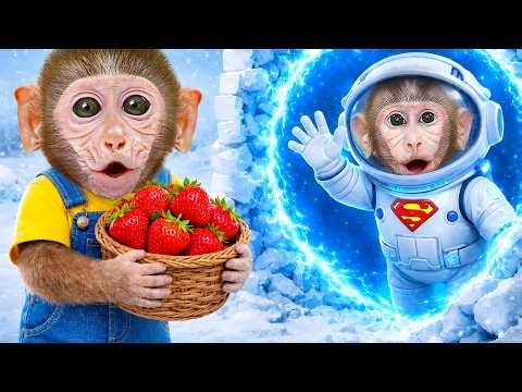 Monkey Bibi Rescues Baby Monkey from a Crashed UFO and Repairs the Damaged Spaceship
