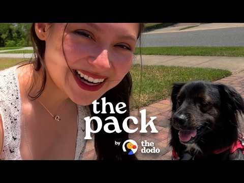 Rescue Dog Meets His Real Dad After A DNA Test | The Dodo