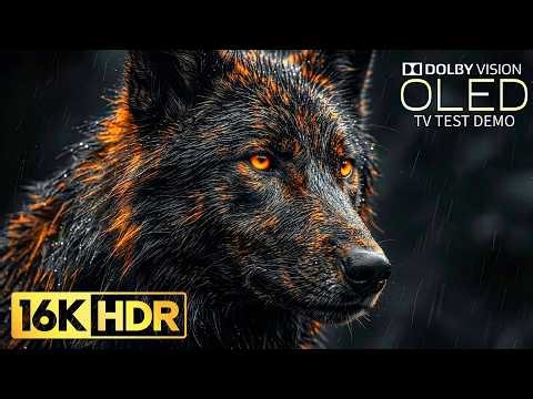 Most Stunning 16K Video ULTRA HD | 16K HDR 120fps Dolby Vision (8K/4K Video TV)