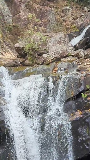 Creek Falls at Chattahoochee Forest | Waterfalls | Hiking #shorts #nature