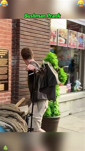Bushmanprank 😂😂😂#bushman #prank #usa #fyp #funny