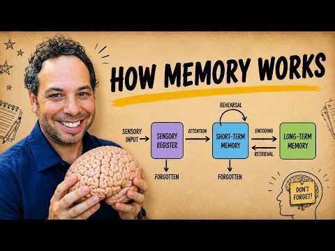 How Memory Works...And Why It Fails You (Made Easy!)