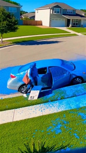 OREGON KITCHEN TECH ASSAULT! 🚨 Panasonic Bread Maker Thief Sees Blue in PORTLAND!