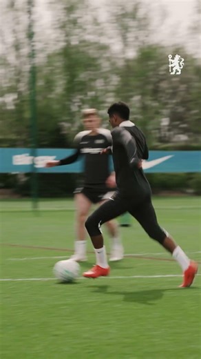 ESTÊVÃO primed 🎯