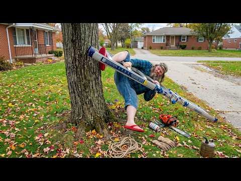 Forestry Gone Wrong & Heavy Machines Unleashed | Extreme Tree Cutting Fails and Logging Power