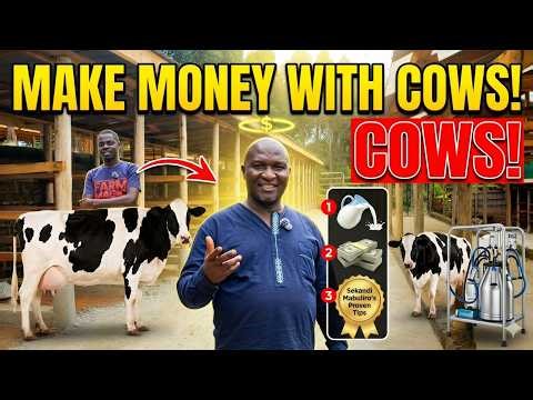 Dairy Farming in Uganda: How to Turn Milk into Millions 💰🐄