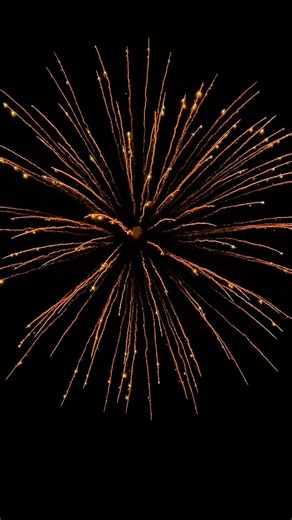 Oh, this is a 6-inch golden willow firework, really beautiful