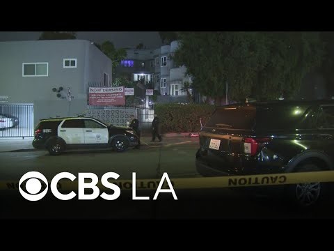 Investigation continues after 3 men found shot to death inside Hollywood apartment