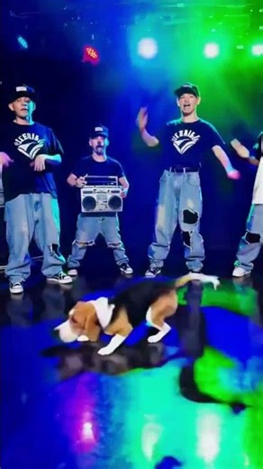 Beagles Start Breakdancing?! 🐶🕺🔥 #shorts