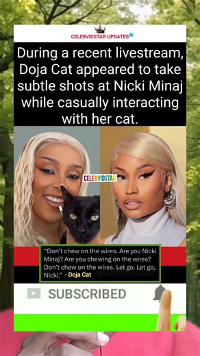 Doja Cat Throws Subtle Shade at Nicki Minaj on Livestream?! 👀😳