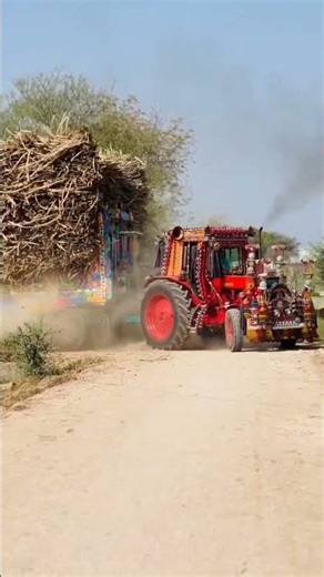 Beautiful view of belarus tractor pulling the troly of heavy load in village #fyp, #viral, #trending