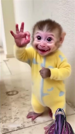 Viral Videos 🔥 | Trending | TikTok 🤪 | WhatsApp Status | Comedy | Funny Video #short #funnyvideos 📷