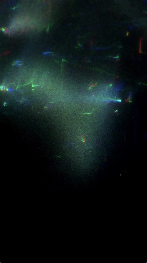 Discover Primal Orchestra's Latest New Music