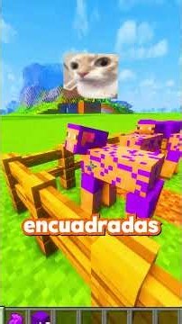 How to build an ENDERMAN PORTAL in MC #minecraft