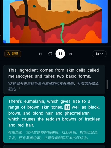 Shadowing English - Chinese(The science of skin color - Ted Ed) #practiceenglish #shadowing #shadowingenglish #shadowingtechnique #learningenglish