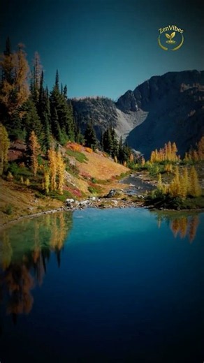 Peaceful Autumn in the Mountains 🍂🏔️ Colorful Forest & Nature Views #shorts #nature #naturelovers