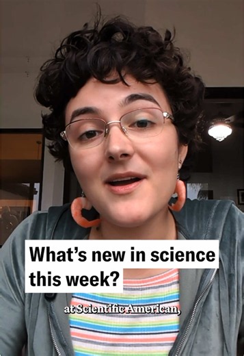 Weekly science roundup: satellites, elephant rumbles, and safety tips
