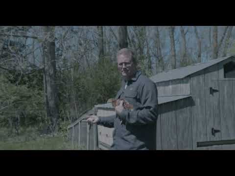 Honors College Graduation Video 2026