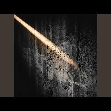Transient State