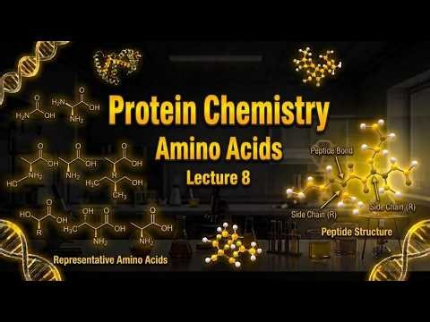 Biochemistry Lecture 8 | Protein Chemistry – Amino Acids