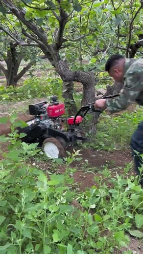 Orchard Weeder Complete Breakthrough To Peak Achievement RotaryTiller Multiple Functional rotary.