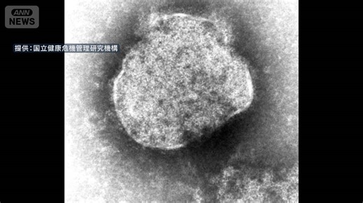 【速報】はしかの全国患者数　1週間で13人…去年の3倍以上に　今年に入って152人が感染（テレビ朝日系（ANN））