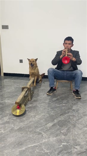 Today we're performing an extended version of "The Loess Plateau," with gong player: Da Huang 😂