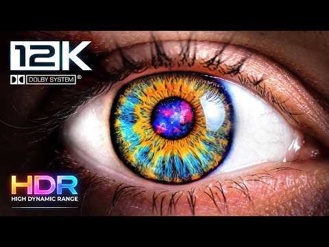TV 12K HDR 60FPS – Extreme Display Test (OLED / QLED / Pro Display XDR)