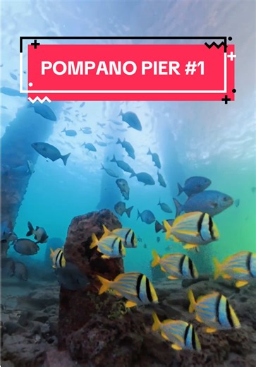 Exploring Pompano Beach Fishing Pier Wonders