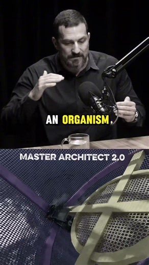 How to Master Your Nervous System: Science-Based Tools | Andrew Huberman