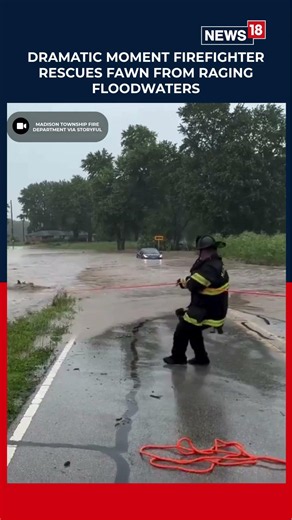 Firefighter Rescues Helpless Fawn From Raging Floodwaters | N18S