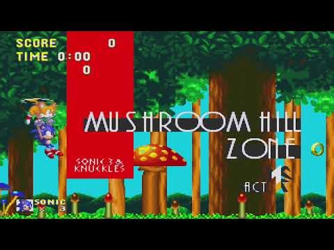 How to get Sound Test menu and Debug Mode | Sonic 3 & Knuckles guide