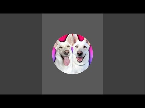 Apollo and Leyla is live!