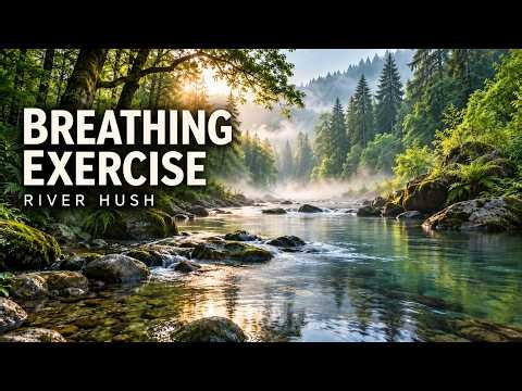 5 Minute Breathing Exercise 🌿 How to Breathe for Beginners | Guided Meditation
