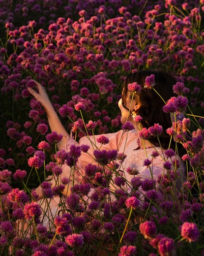 A gentle stroll through blooming fields🌷 Your Spring Summer escape awaits, stay tuned with us! (Alkaram, Alkaram Spring Summer 2026) | Alkaram