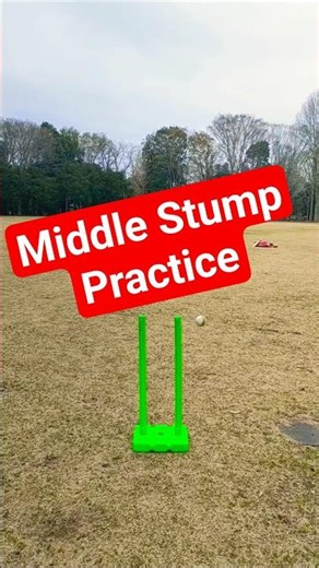 Cricket Practice Challenge - Day 17 #bowling #girlpower #jpl #cricket #ipl #wpl #tokyo #japan