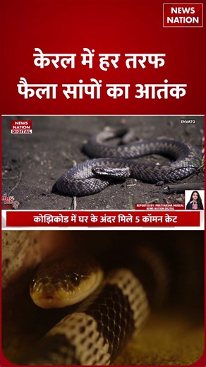 Snake Attack: केरल में 'Silent Death'! सोते वक्त लोगों की मौत.....! Snake Bite | Viral News