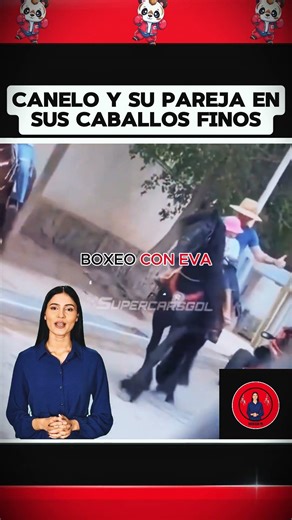 Canelo Álvarez y su pareja en sus caballos finos #boxeo #boxing #box