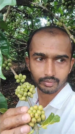 Bhavagiri Raw Natural Honey from Coorg@Bisle Virw point #Premada Oorali Title Song ( From "Premada O