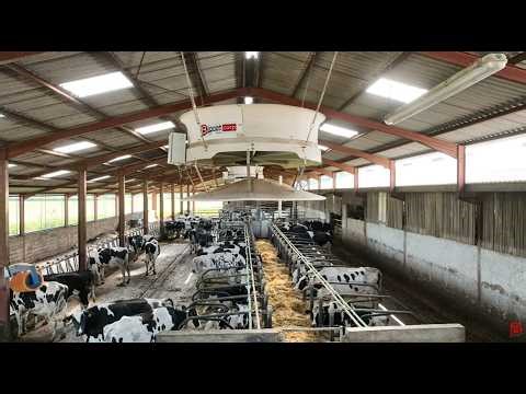 Témoignages - GAEC du Rosier Blanc - Cyclone 360 : fini les coups de chaud