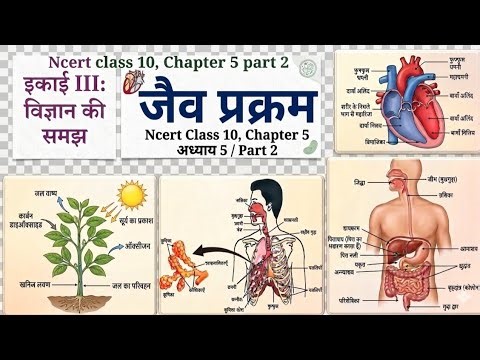 जैव प्रक्रम | class 10 science chapter 5 new ncert book se full chapter/ part 2