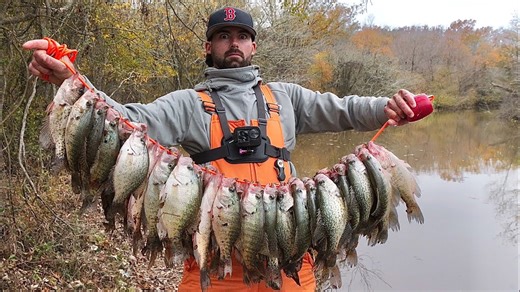 Best creek crappie spot ever delivers double limits, jigs, bobbers
