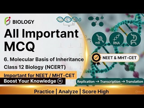 6. Molecular Basis of Inheritance | Important MCQs | NCERT | NEET 2025 | Class 12 Biology