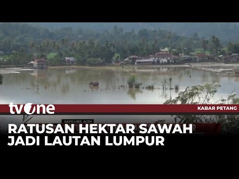 Ratusan Hektar Sawah di Gayo Lues Tersapu Banjir | Kabar Petang